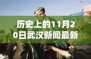 历史上的11月20日武汉杀人案深度解析,一起案件引发的思考及新闻回顾