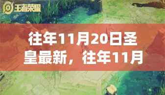 透视多重观点,往年11月20日圣皇最新解读与解析
