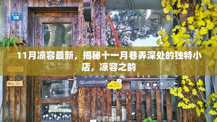 揭秘十一月巷弄深处的独特小店,凉容之韵的十一月新貌