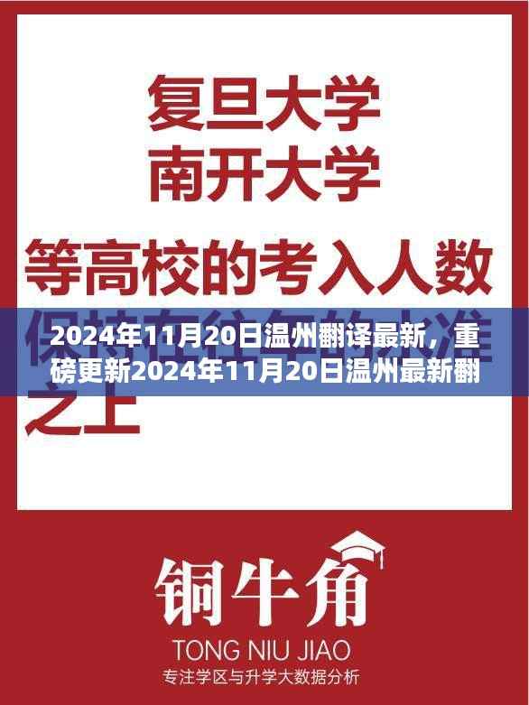 2024年11月20日温州最新翻译资讯全解析