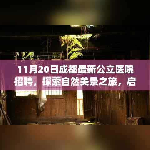 成都公立医院招聘之旅,探索自然美景,寻找内心宁静的启程
