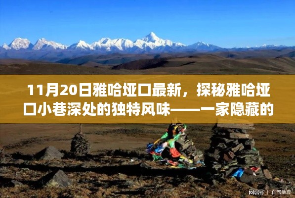 探秘雅哈垭口小巷深处的独特风味,美食宝藏揭秘(最新11月20日雅哈垭口更新)