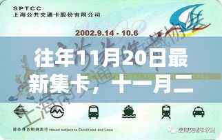 友情与陪伴的温暖瞬间,十一月二十日集卡日的精彩回顾