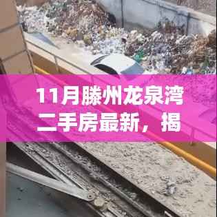 揭秘十一月滕州龙泉湾二手房市场,小巷特色小店与最新房源概述