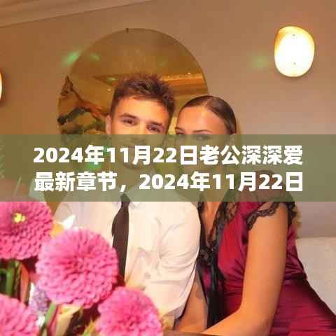 老公深情告白,爱的深度与持久——2024年11月22日最新章节