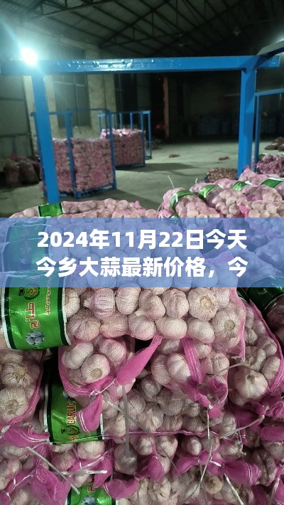 今日今乡大蒜价格揭秘,变迁、影响与新纪元探索