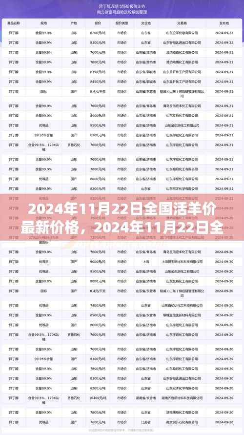 最新消息,2024年11月22日全国活羊价格走势分析与预测