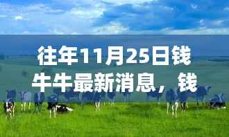 钱牛牛引领心灵之旅，自然美景尽收眼底，远离尘嚣的旅行体验