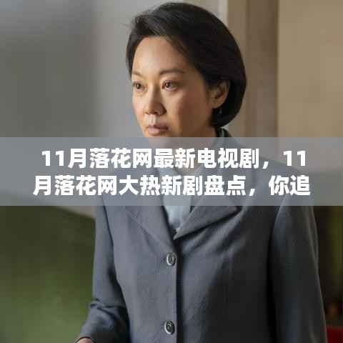 11月落花网大热新剧盘点,你追哪部新剧?