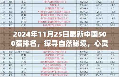 探寻自然秘境的心灵之旅,揭秘中国500强背后的美景召唤,最新排名出炉(2024年)