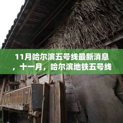 哈尔滨地铁五号线十一月最新动态,探寻自然秘境的心灵之旅启动