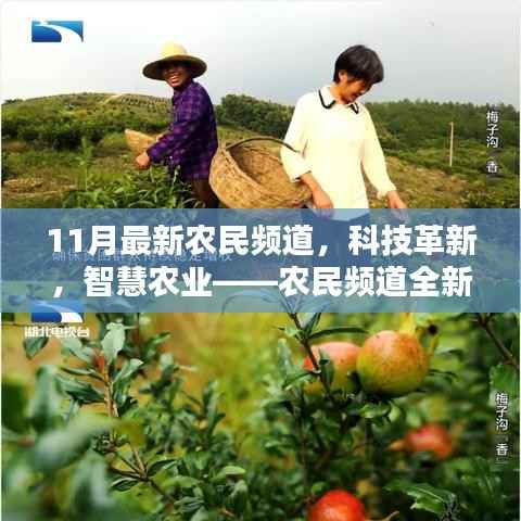 农民频道全新升级,科技革新与智慧农业体验未来农业新生活