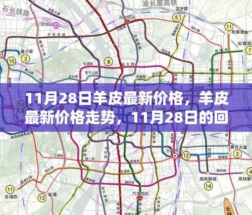 11月28日羊皮最新价格及走势回顾,市场影响与趋势分析
