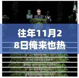 往年11月28日影踪探寻,成长之路与自信之旅