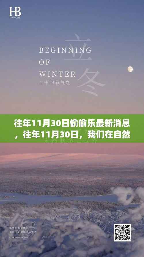 往年11月30日的新发现之旅,自然美景中的偷偷乐