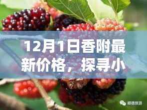 探寻小巷深处的宝藏,揭秘12月1日香附最新价格