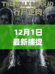 最新捕捉斑事件揭秘,斑之影的深度解析