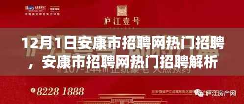 安康市招聘网最新热门招聘解析(12月1日版)