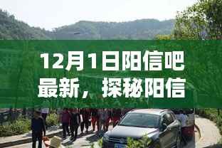 探秘阳信吧,小巷深处的独特风味,十二月惊喜等你来发现!