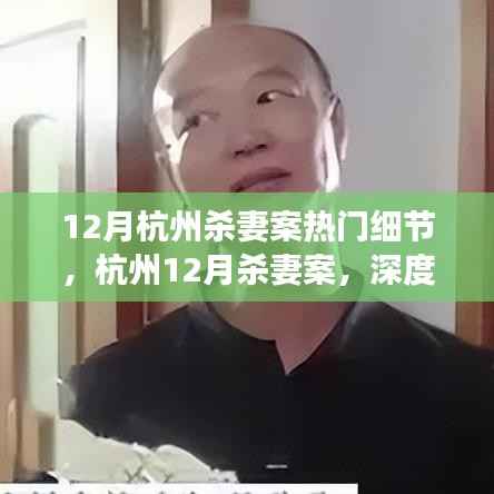 杭州十二月杀妻案深度解析,细节揭秘与个人观点探讨