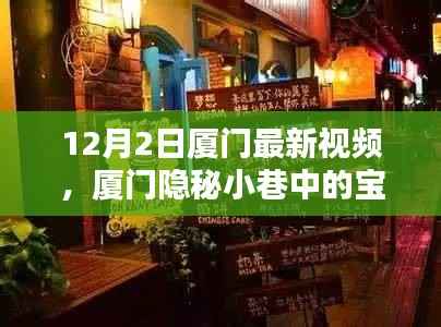 揭秘厦门隐秘小巷的宝藏小店，十二月最新风情视频欣赏