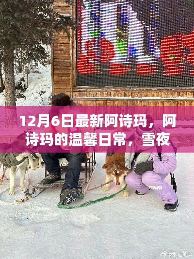 阿诗玛温馨日常,雪夜冒险与友情的温暖时刻