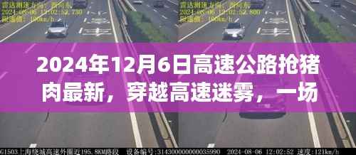 穿越高速迷雾,探寻猪肉之旅的心灵宁静与最新动态