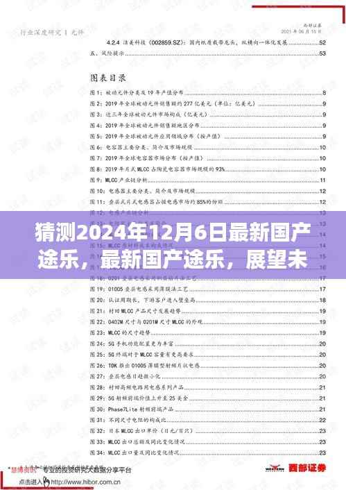 预测版,最新国产途乐展望未来的驾驶体验(2024年12月6日版)