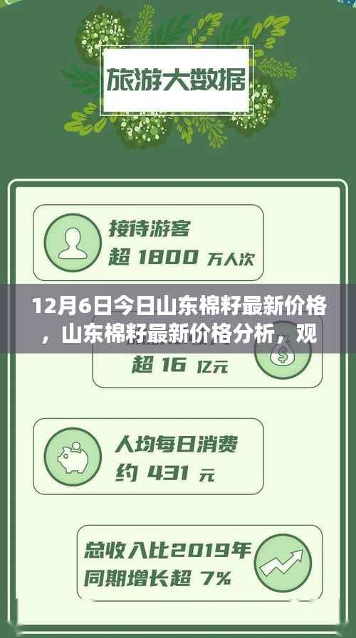 山东棉籽最新价格解析,观点与立场分享(12月6日)