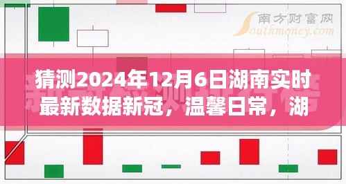 湖南新冠疫情下的温馨日常,新冠小秘密与家的温暖时光(实时更新至2024年12月6日)