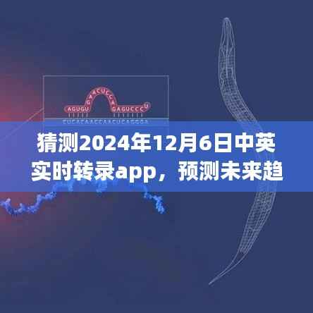 中英实时转录App的未来趋势预测,聚焦2024年12月6日的发展展望