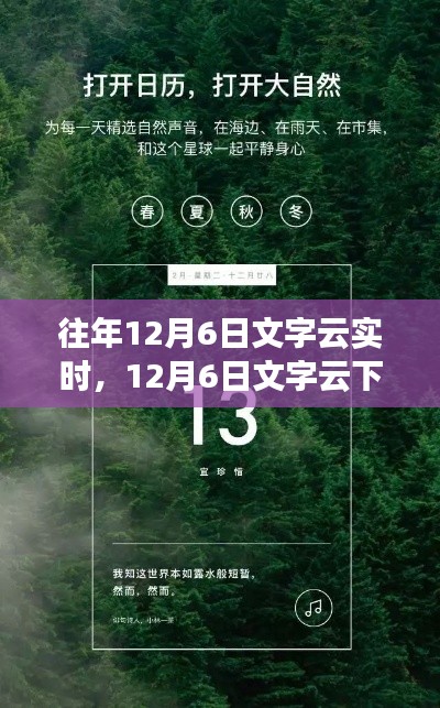 追寻内心的宁静与喜悦,12月6日文字云下的自然探秘之旅纪实