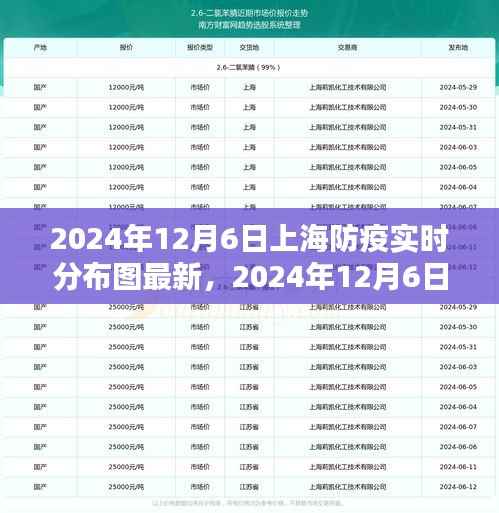 最新指南,2024年12月6日上海防疫实时分布图查询流程详解
