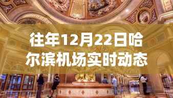 揭秘哈尔滨机场幕后小巷的神秘小店,往年12月22日实时动态奇趣之旅