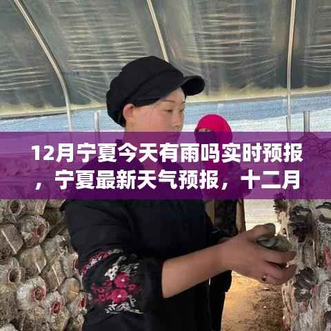 宁夏十二月实时天气预报,雨纷纷来袭,出行必备雨伞