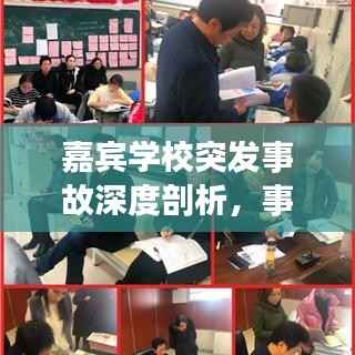 嘉宾学校突发事故深度剖析,事故原因、处理进展与反思