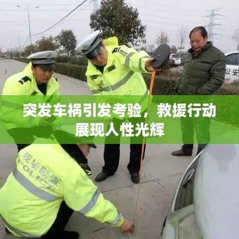 突发车祸引发考验,救援行动展现人性光辉