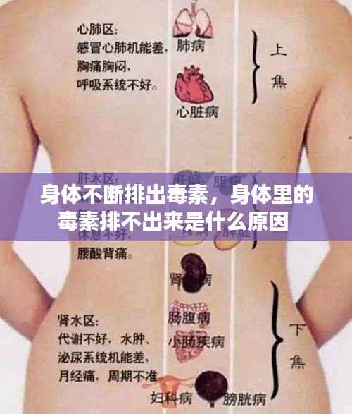 身体不断排出毒素,身体里的毒素排不出来是什么原因