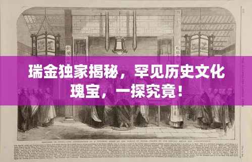 瑞金独家揭秘，罕见历史文化瑰宝，一探究竟！