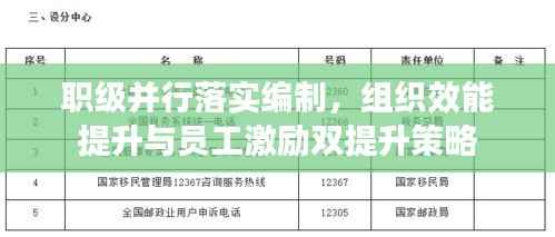 职级并行落实编制,组织效能提升与员工激励双提升策略