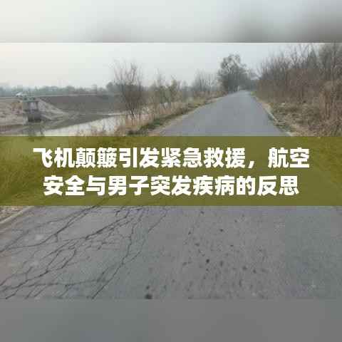 niaojingshucuan 第8页