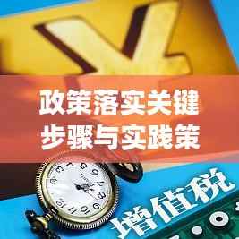 政策落实关键步骤与实践策略,如何确保政策有效落地实施