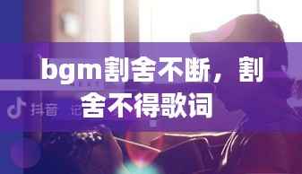 bgm割舍不断,割舍不得歌词