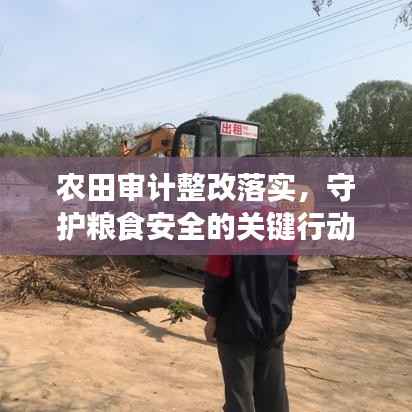 农田审计整改落实,守护粮食安全的关键行动