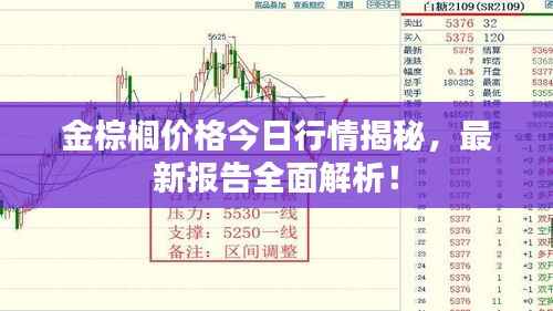 金棕榈价格今日行情揭秘,最新报告全面解析!