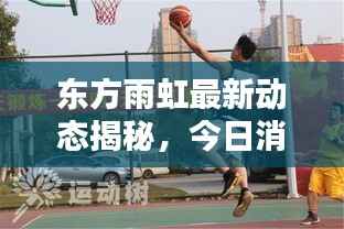 东方雨虹最新动态揭秘,今日消息一网打尽