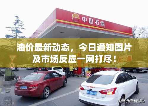 油价最新动态,今日通知图片及市场反应一网打尽!