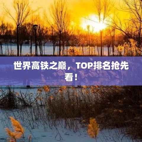世界高铁之巅,TOP排名抢先看!