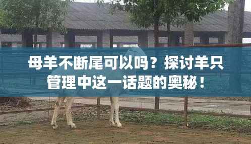 gangqiemuzhang 第9页