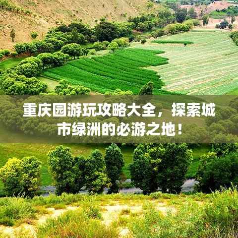 重庆园游玩攻略大全,探索城市绿洲的必游之地!